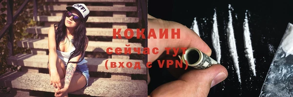 гидра Арсеньев