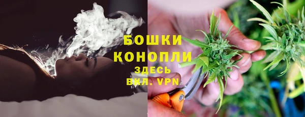 Альфа ПВП Аркадак