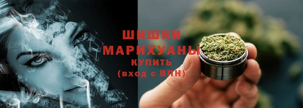 Альфа ПВП Аркадак