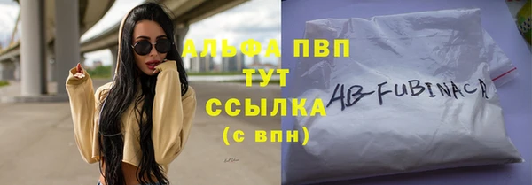 гидра Арсеньев