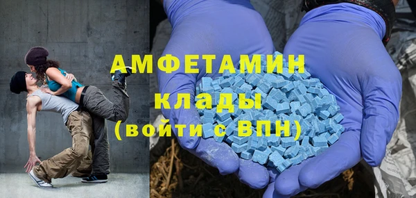 гидра Арсеньев