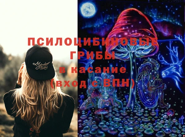 Альфа ПВП Аркадак