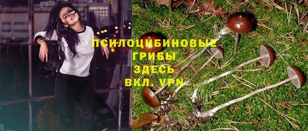 гидра Арсеньев