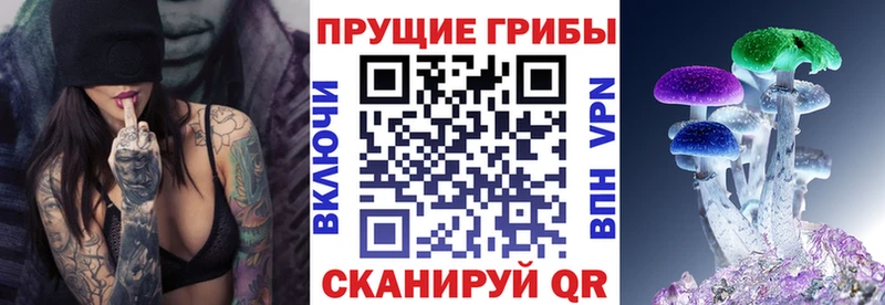 МЕГА ТОР  закладки  Ахтубинск  Псилоцибиновые грибы мицелий 